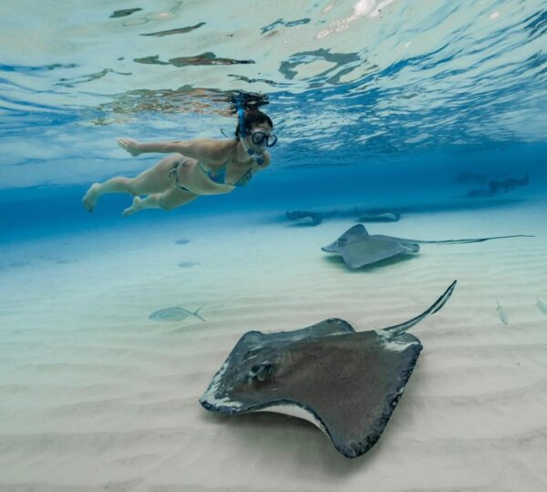 Stingray City