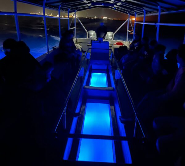 Reef Roamer Glass Bottom Boat
